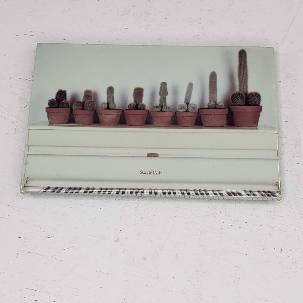 Aids Project Los Angeles Phallic Cactus Magnet Kitchen Fridge Provocative